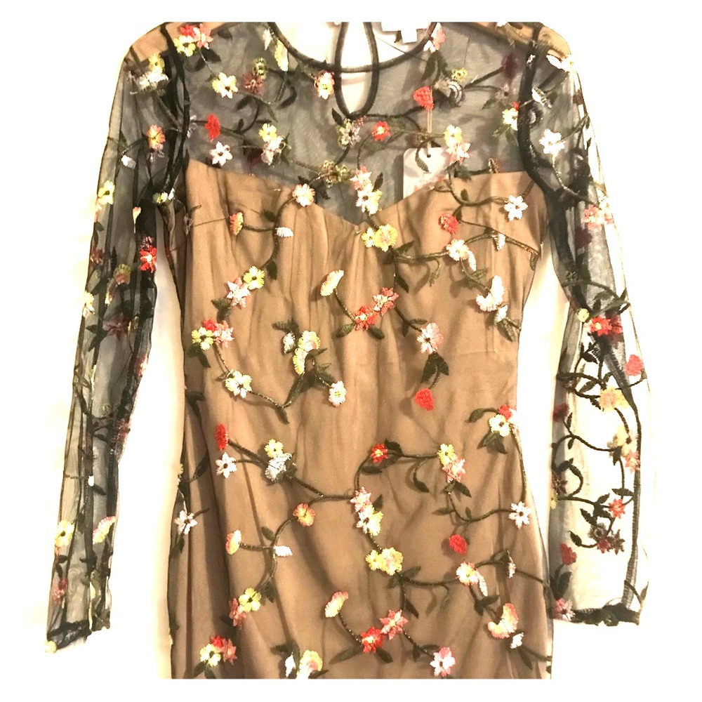 Sheer Tight Floral Long Sleeve Dress